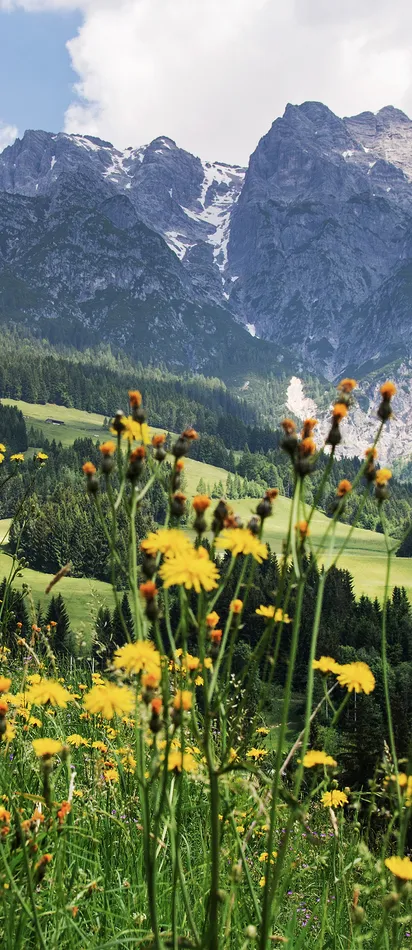 Mountain scenery in Leogang